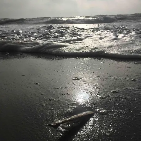Face A La - Les Pieds Dans L'eau Lejlighed